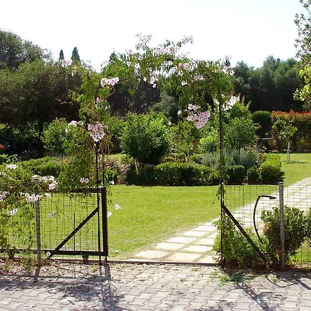 Dallas Свороната